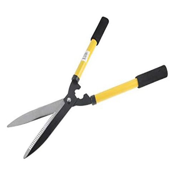 Pruning Scissors